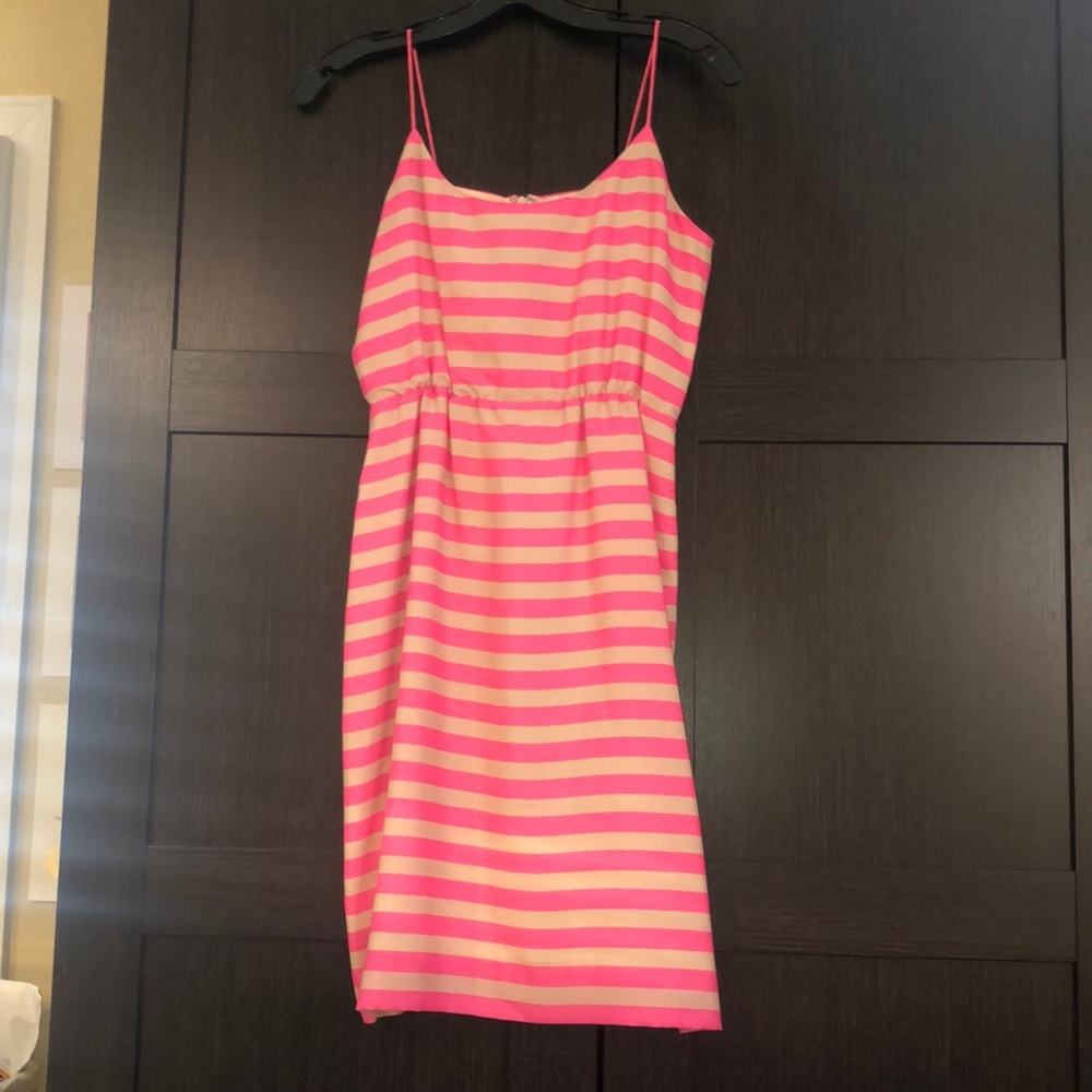 Pink Striped Jcrew Dress
